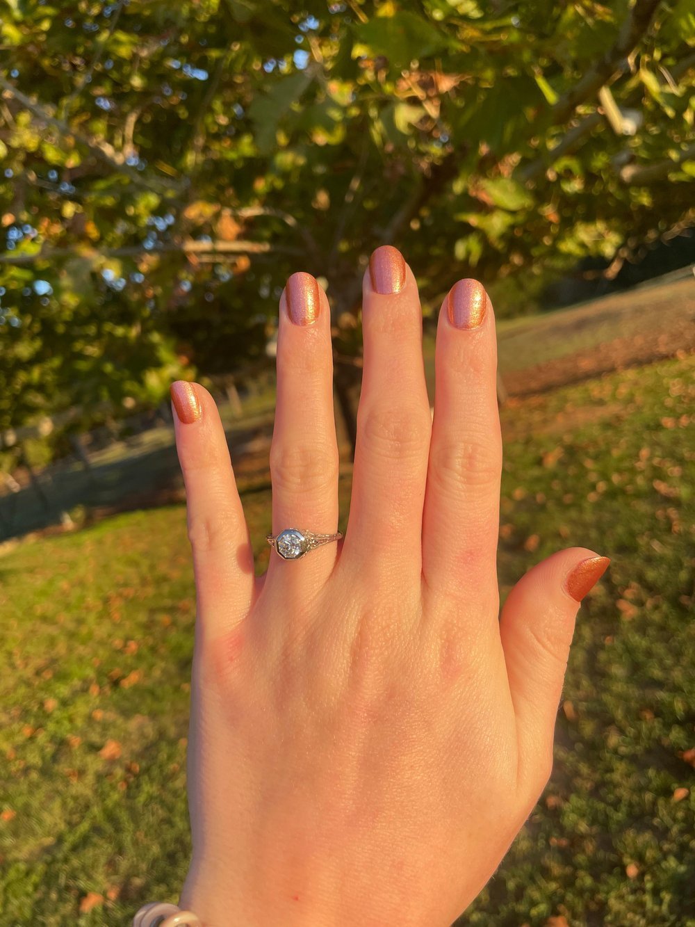 Logan and Lesley - Walton's Jewelry